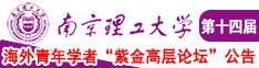 大鸡巴抽插淫荡视频南京理工大学第十四届海外青年学者紫金论坛诚邀海内外英才！